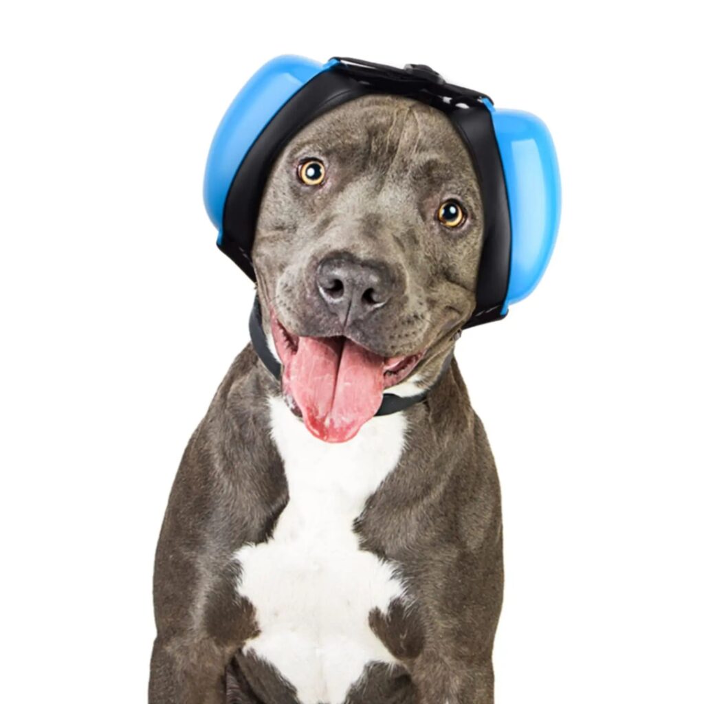 casque anti bruit pour chien 4 (3)