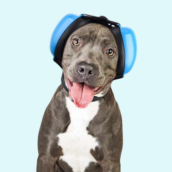 casque anti bruit pour chien 4 (8)